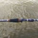Daiwa Fishing Rods Reviews