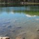 Delta Fishing Rods