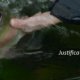 Fishing rod Restoration