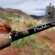 Fishing with rod Fishing Reports