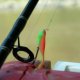 Good Beginner Fishing rod