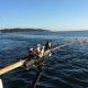 Good Beginner Fishing Rod and reel