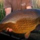 Harrison Fishing Rods