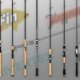 Heavy rod Fishing