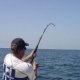 How to string a Fishing rod?