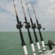 Musky Fishing Rods