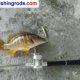 Pen Fishing rod Fly reel