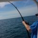 Popular Fishing Rods