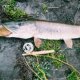 Shimano Alivio Fishing rod