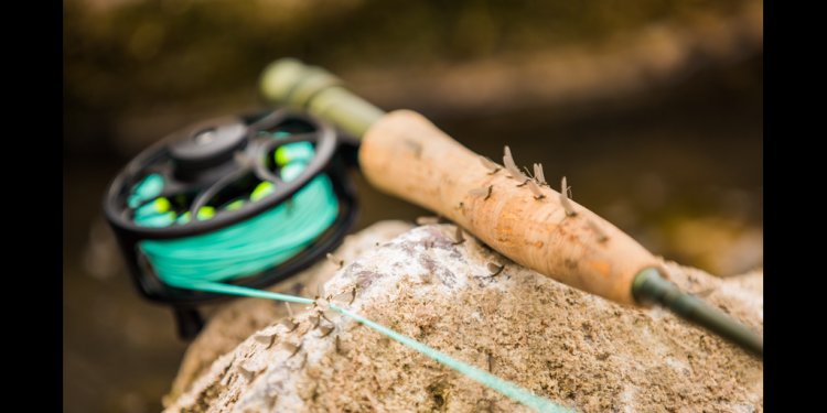 Go Outdoors Fishing Rods