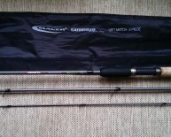 Beginners Fishing rod