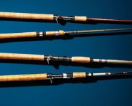 Best rods for trout fishing