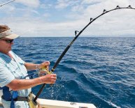 Conventional Fishing Rods