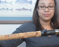 Cork Fishing rod handles