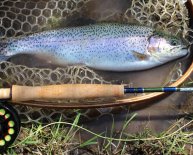 Fishing rod with Fishing