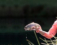 Fly Fishing rod Tubes