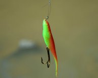 Good Beginner Fishing rod