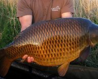Harrison Fishing Rods