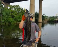 Laguna Fishing Rods