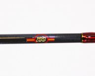 Most Popular Fishing Rods
