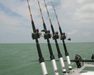 Musky Fishing Rods