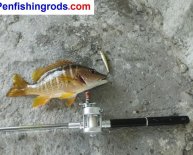 Pen Fishing rod Fly reel