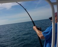 Popular Fishing Rods