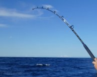 Sea Fishing Rods