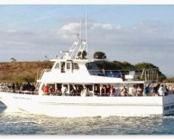 Shore Fishing Rods and reels