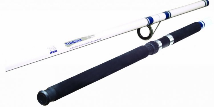 Best Telescopic Fishing Rod and reel
