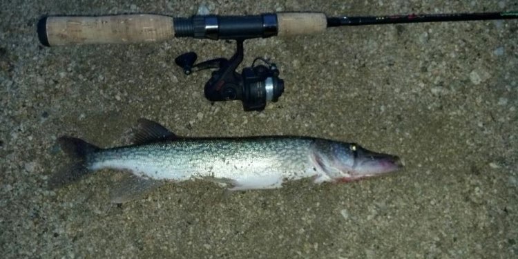 Fly Fishing Rod and reel Combos Reviews