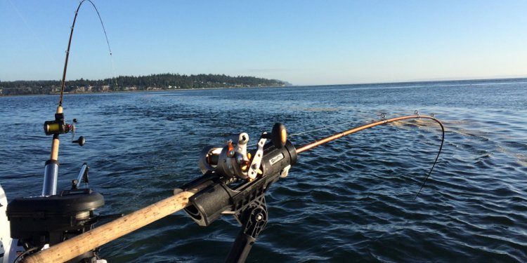 Good Beginner Fishing Rod and reel