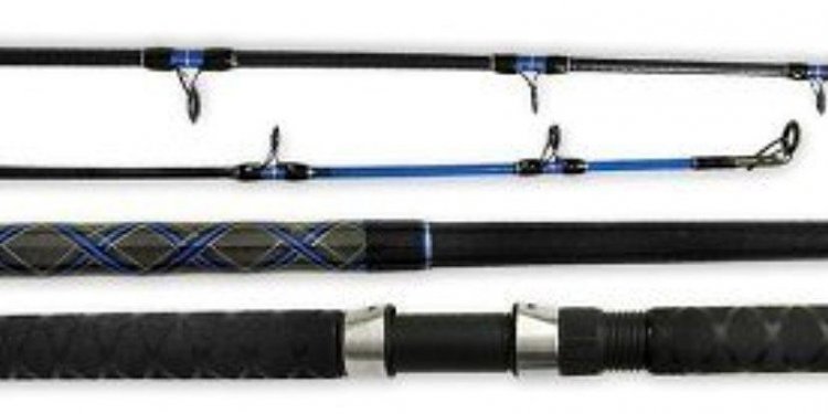Top ratings Fishing Rods