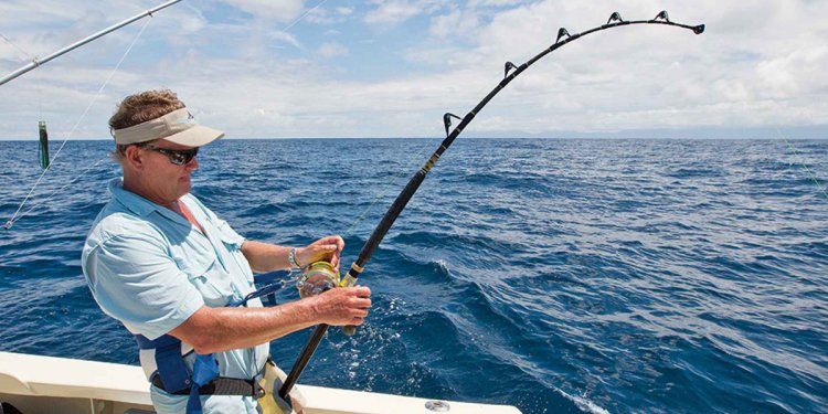 Conventional Fishing Rods